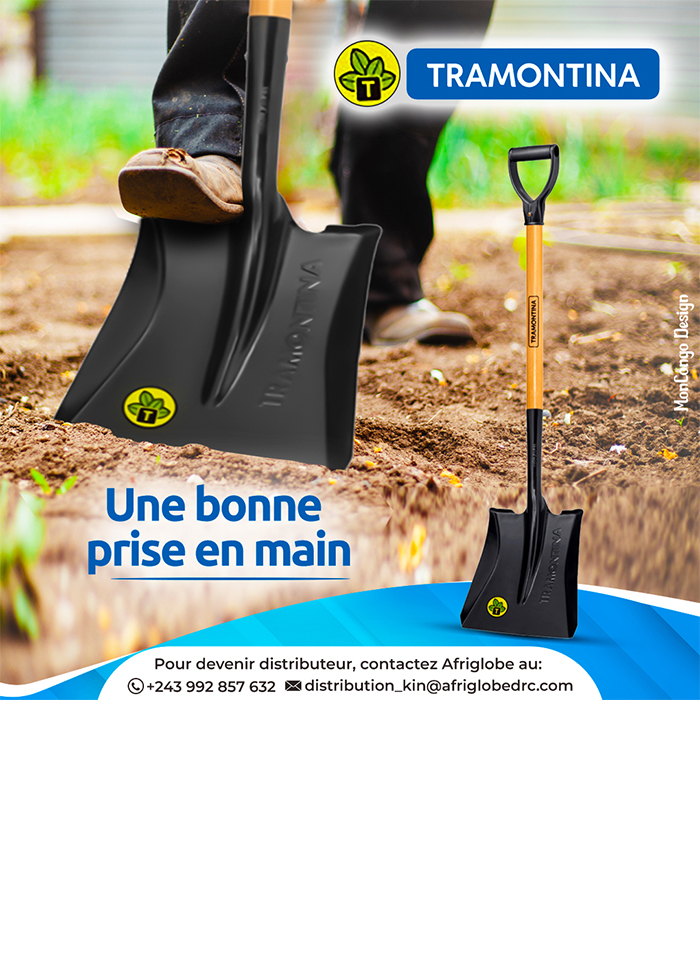 Afriglobe SARL - Kinshasa -Distributeurs produits alimentaires - Kinshasa MonCongo