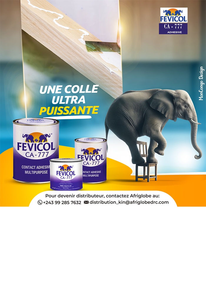 Afriglobe SARL - Kinshasa -Distributeurs produits alimentaires - Kinshasa MonCongo