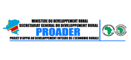 Appel d'offre Kinshasa RDC